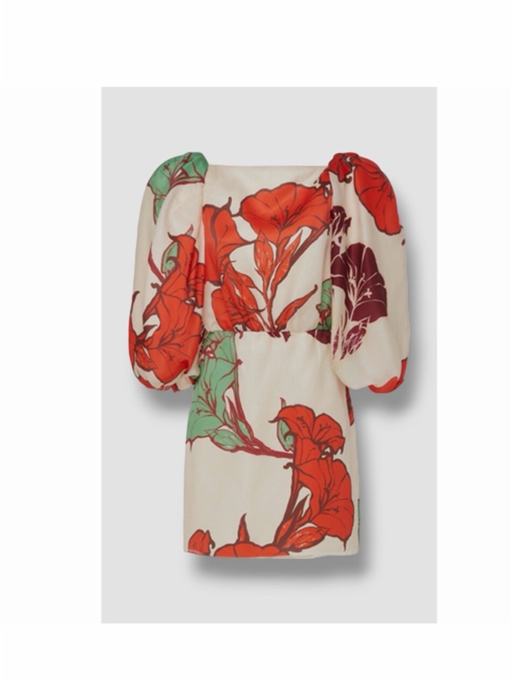Johanna Ortiz Cream Mini Dress with Bold Red Floral Print orig. $2,200